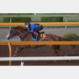 ラスト3Fは37秒8―12秒0