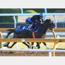 池江3騎で最も動いたサトノアーサー