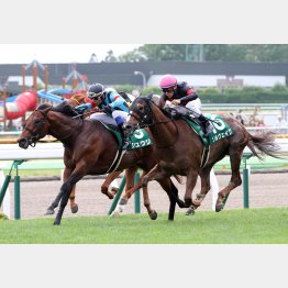 ソルヴェイグに函館スプリントS勝ちは12番人気