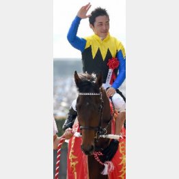 昨年は3番人気マカヒキが勝利をモノにした