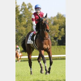 今回は未勝利V以来となる藤岡康とのコンビ