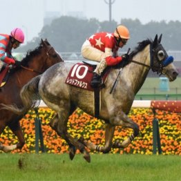 京王杯SCを快勝