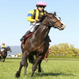 マイラーズCで2年7カ月ぶりのV