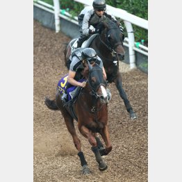 1F12秒6で2馬身半先着