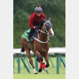 スピード感あふれる走り