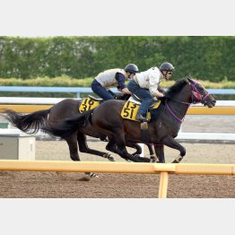 きっちりと半馬身先着(右)