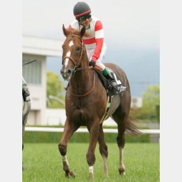 都大路Sを快勝