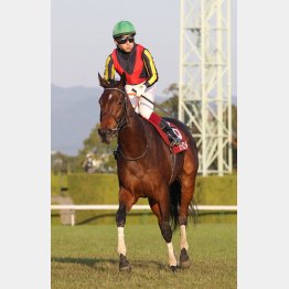 牡馬相手にデイリー杯勝ち