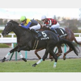 4走前に境港特別勝ち