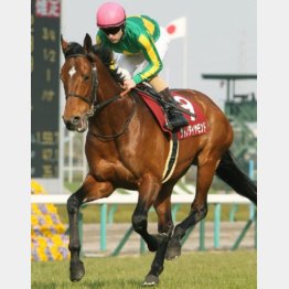 昨年の阪神大賞典を快勝