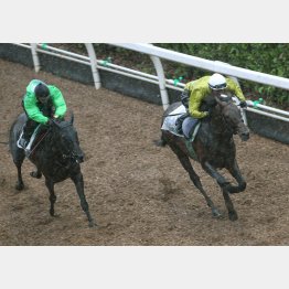 1馬身先着した(右)