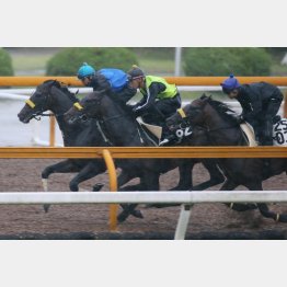 けさは相手の動きに併せた(キタサンは最内)