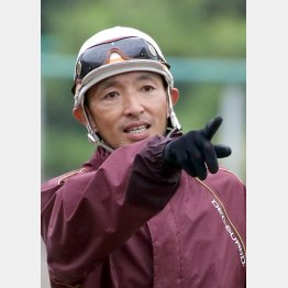 武市調教師