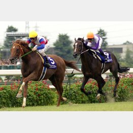 単勝1.5倍の本命馬を3馬身突き放した(左:グラスワンダー、右:スペシャルウィーク)