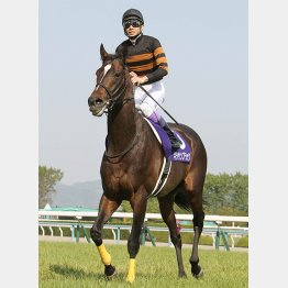 キタサンブラックは春天を快走してもケロッとした表情