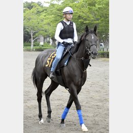 ライジングリーズンは涼しげに好調アピール