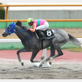 テイエムジンソクが4馬身差V