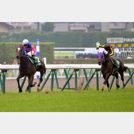 14年は①②着ともにそうだった