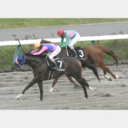 昨夏は阿蘇S→ラジオ日本賞(写真)と2連勝