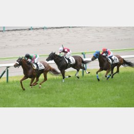 先週の土曜8Rでは4番人気のアプト(中央)が②着