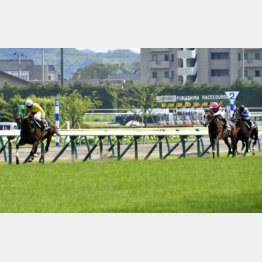 織姫賞はコパノマリーンが逃げ切り勝ち