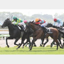 巴賞を快勝