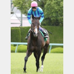 鳴尾記念で初タイトル