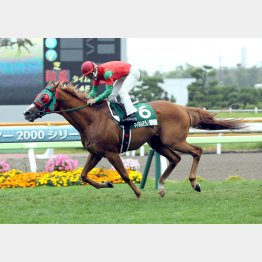 昨年は②着に2馬身差をつけた