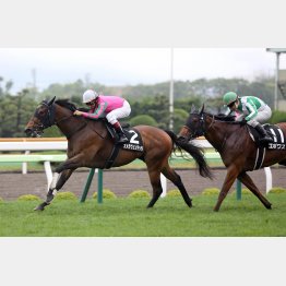 一昨年の函館日刊スポーツ杯は前走他場組は①③着