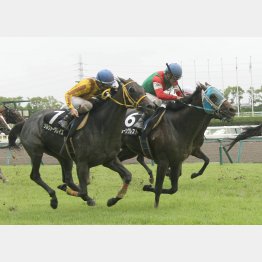 昨夏の知多特別で中京2勝目