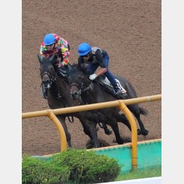 古馬相手にいい反応を見せた(左)