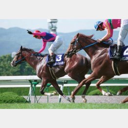 2001年の宝塚記念でメイショウドトウはオペラオー(手前)に雪辱