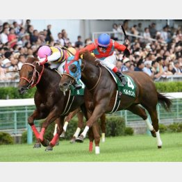 前2年はベルカントが連覇
