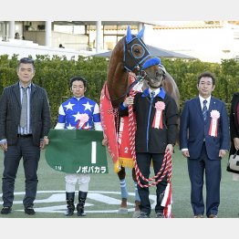 芝でも結果を出せるか(ノボバカラ)