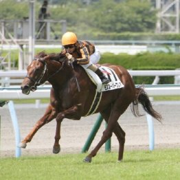 好タイムで新馬戦に勝利