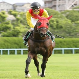 勢いに乗って重賞2連勝&夏の王者を目指す
