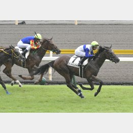 2戦目で初勝利