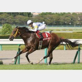 昨年はGⅠ馬ビッグアーサーが秋初戦を飾った
