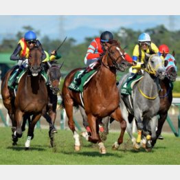 14年はクラレントが連勝