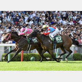 首差で初タイトル