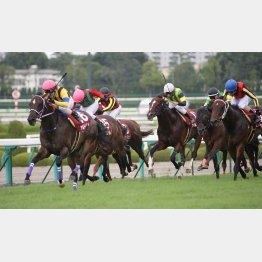 09年は牝馬のワン・ツー・スリー