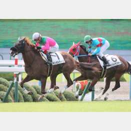 未勝利戦以来の勝ち星なるか