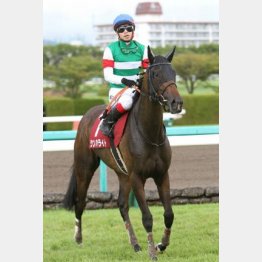 昨年のローズSはオークス馬シンハライトがV