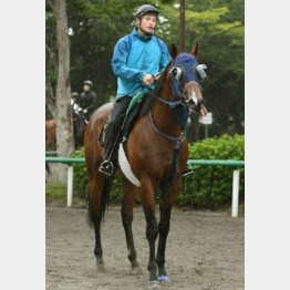 「精神面がどっしりした」と手塚師