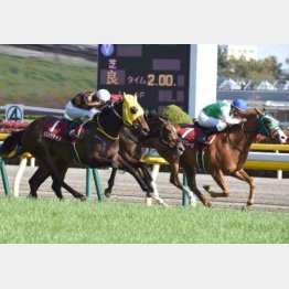 春はフローラSを快勝