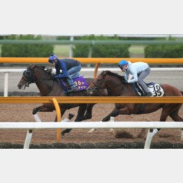 馬なりで1馬身先着した(左)
