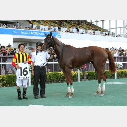 ラビットランは和田が連続騎乗