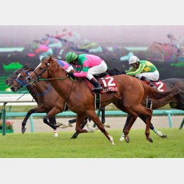 13年の大激戦を制したヴェルデグリーンは…