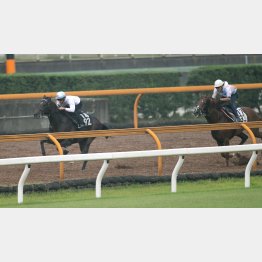 きのうは豪快に3馬身先着