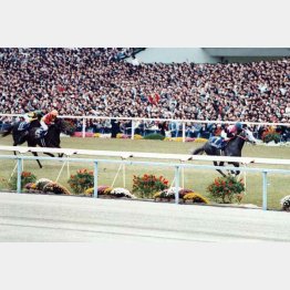 次走(菊花賞)も②着ステージチャンプに5馬身差!